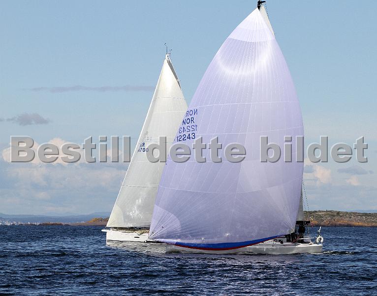 ORCi2 219.jpg